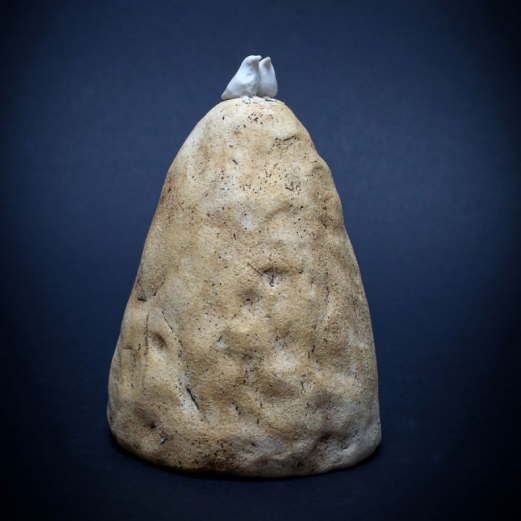 8-couple-doiseaux-sur-un-rocher15x10